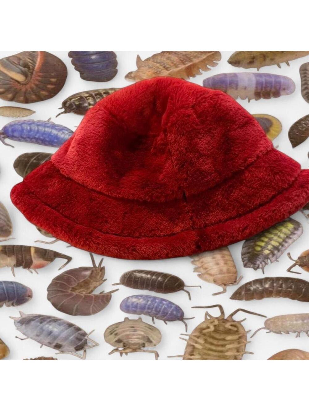 Women's Red and Burgundy Hat